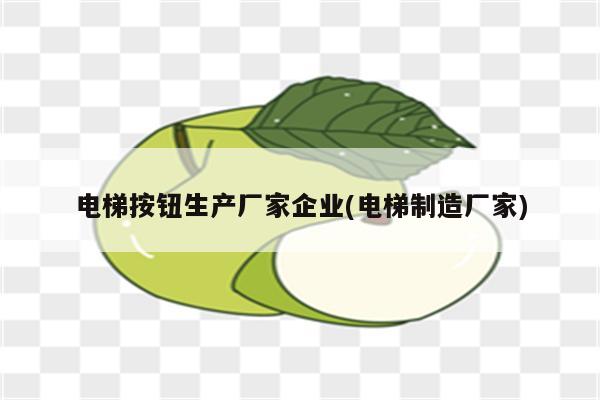 电梯按钮生产厂家企业(电梯制造厂家)