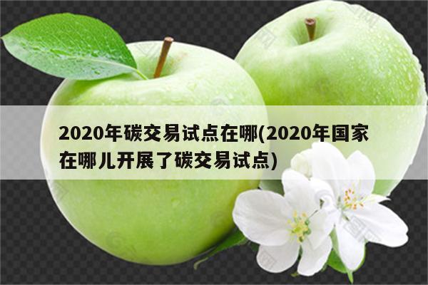 2020年碳交易试点在哪(2020年国家在哪儿开展了碳交易试点)