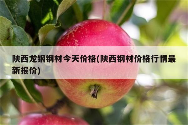 陕西龙钢钢材今天价格(陕西钢材价格行情最新报价)