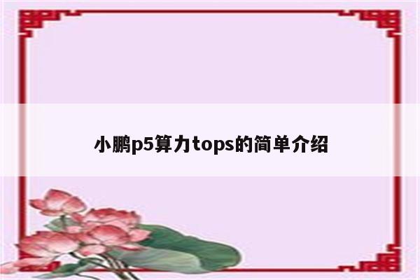 小鹏p5算力tops的简单介绍