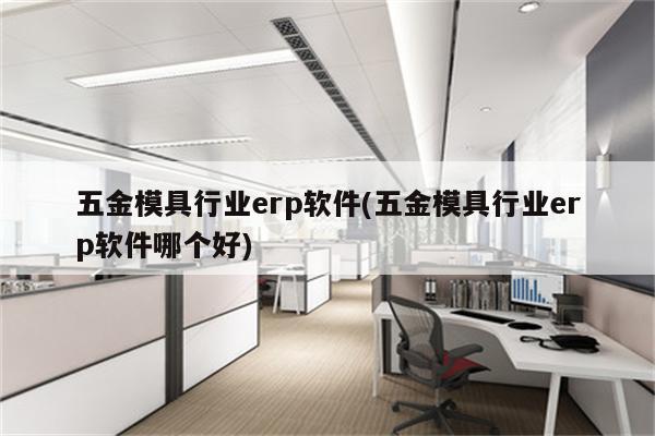 五金模具行业erp软件(五金模具行业erp软件哪个好)