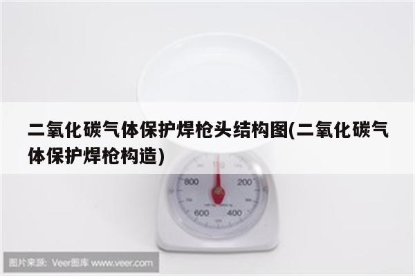 二氧化碳气体保护焊枪头结构图(二氧化碳气体保护焊枪构造)