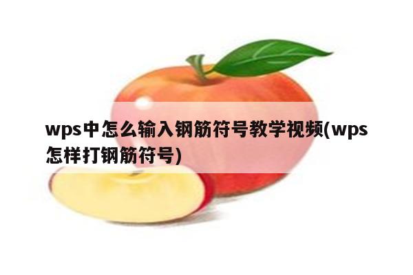 wps中怎么输入钢筋符号教学视频(wps怎样打钢筋符号)