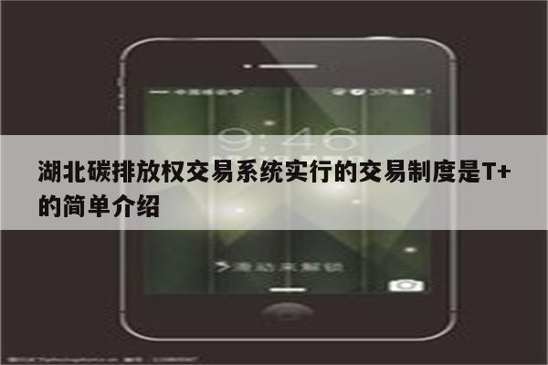 湖北碳排放权交易系统实行的交易制度是T+的简单介绍