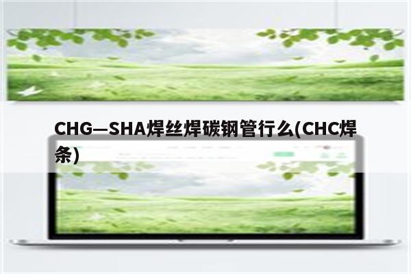 CHG—SHA焊丝焊碳钢管行么(CHC焊条)