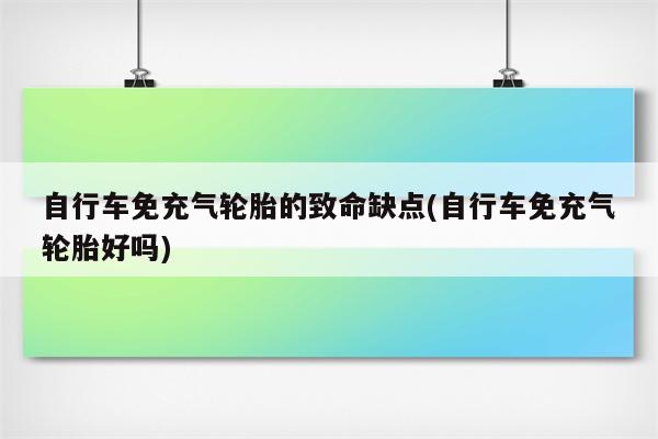 自行车免充气轮胎的致命缺点(自行车免充气轮胎好吗)