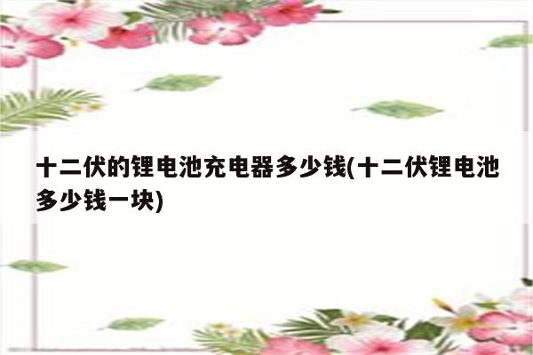 十二伏的锂电池充电器多少钱(十二伏锂电池多少钱一块)