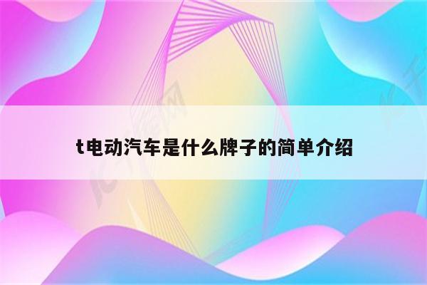 t电动汽车是什么牌子的简单介绍