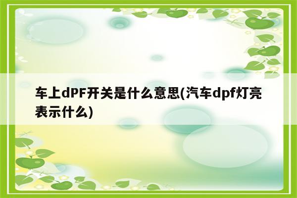 车上dPF开关是什么意思(汽车dpf灯亮表示什么)