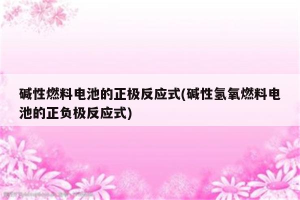 碱性燃料电池的正极反应式(碱性氢氧燃料电池的正负极反应式)