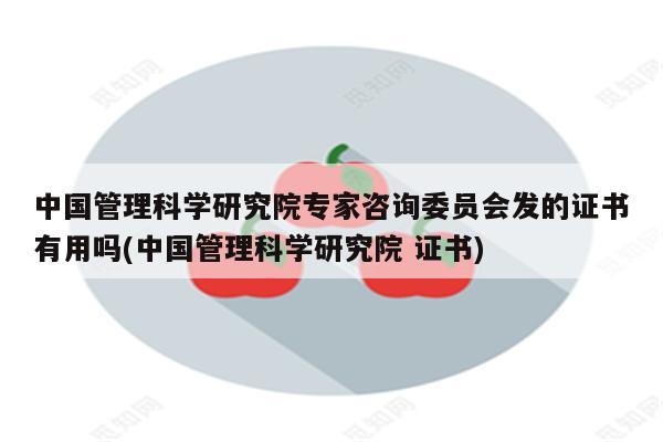 中国管理科学研究院专家咨询委员会发的证书有用吗(中国管理科学研究院 证书)