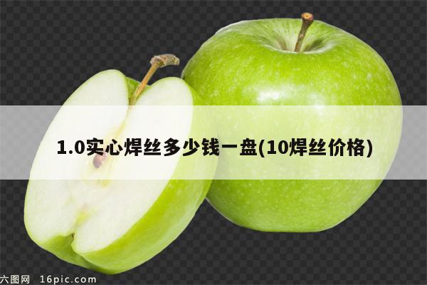 1.0实心焊丝多少钱一盘(10焊丝价格)