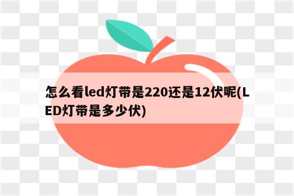 怎么看led灯带是220还是12伏呢(LED灯带是多少伏)