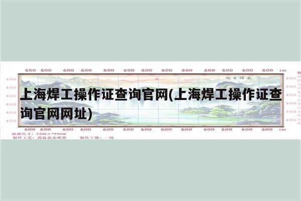 上海焊工操作证查询官网(上海焊工操作证查询官网网址)