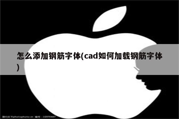 怎么添加钢筋字体(cad如何加载钢筋字体)