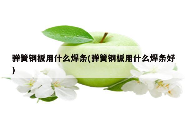 弹簧钢板用什么焊条(弹簧钢板用什么焊条好)