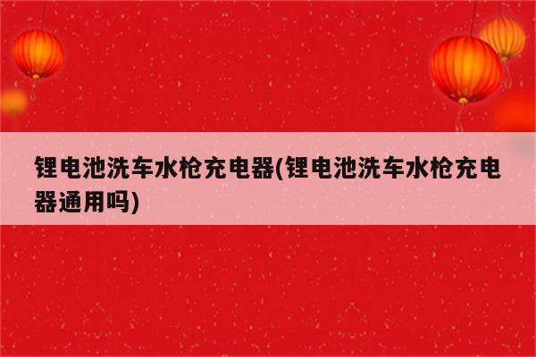 锂电池洗车水枪充电器(锂电池洗车水枪充电器通用吗)