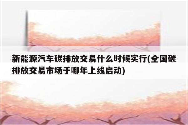 新能源汽车碳排放交易什么时候实行(全国碳排放交易市场于哪年上线启动)