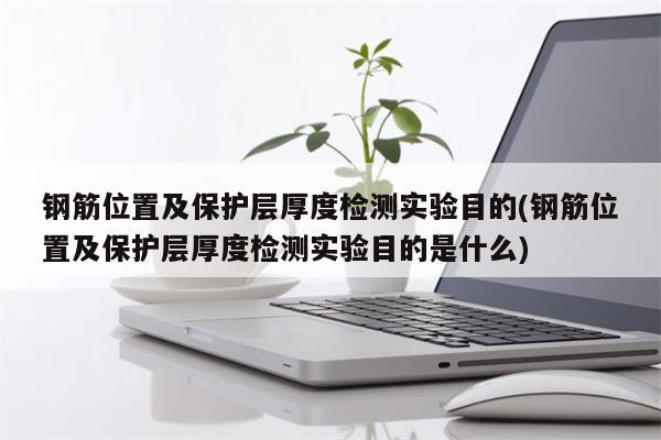 钢筋位置及保护层厚度检测实验目的(钢筋位置及保护层厚度检测实验目的是什么)