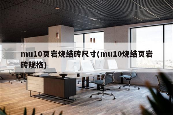 mu10页岩烧结砖尺寸(mu10烧结页岩砖规格)