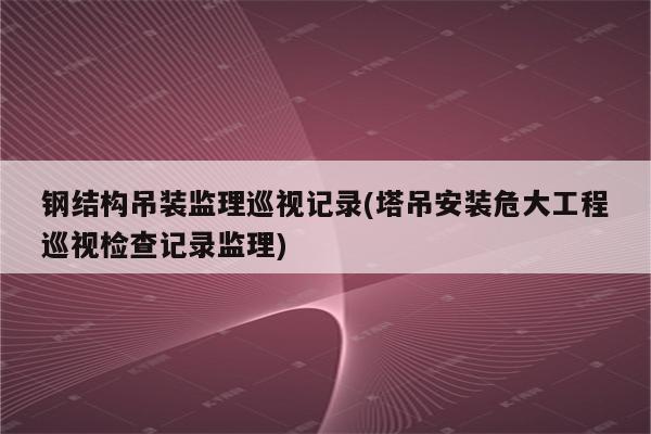 钢结构吊装监理巡视记录(塔吊安装危大工程巡视检查记录监理)