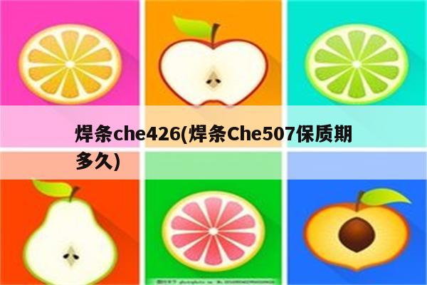 焊条che426(焊条Che507保质期多久)