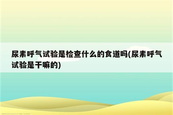 尿素呼气试验是检查什么的食道吗(尿素呼气试验是干嘛的)