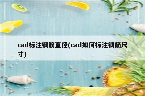 cad标注钢筋直径(cad如何标注钢筋尺寸)