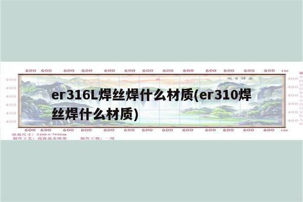 er316L焊丝焊什么材质(er310焊丝焊什么材质)