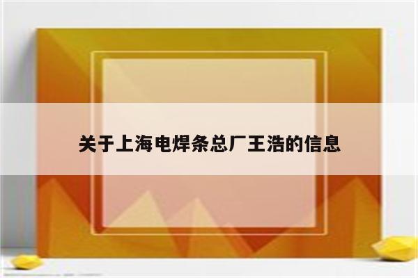 关于上海电焊条总厂王浩的信息