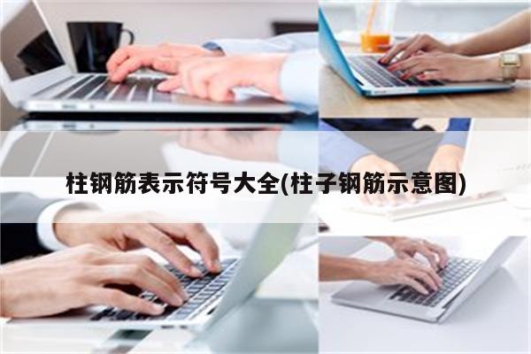 柱钢筋表示符号大全(柱子钢筋示意图)