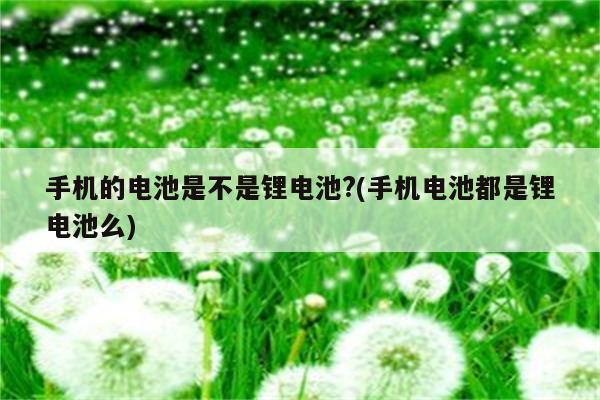 手机的电池是不是锂电池?(手机电池都是锂电池么)