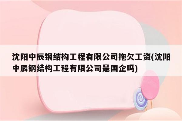 沈阳中辰钢结构工程有限公司拖欠工资(沈阳中辰钢结构工程有限公司是国企吗)