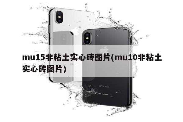 mu15非粘土实心砖图片(mu10非粘土实心砖图片)