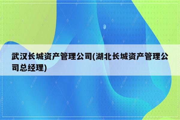 武汉长城资产管理公司(湖北长城资产管理公司总经理)