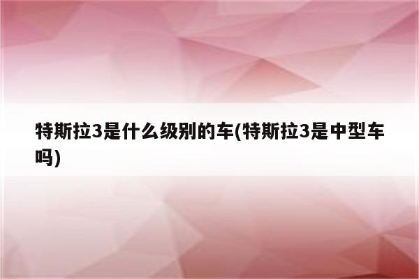 特斯拉3是什么级别的车(特斯拉3是中型车吗)