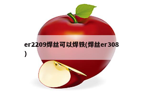 er2209焊丝可以焊铁(焊丝er308)