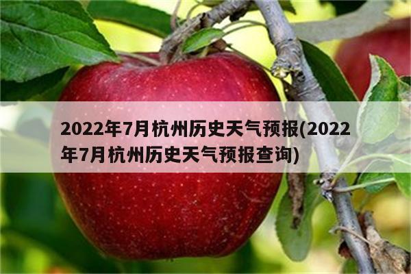 2022年7月杭州历史天气预报(2022年7月杭州历史天气预报查询)