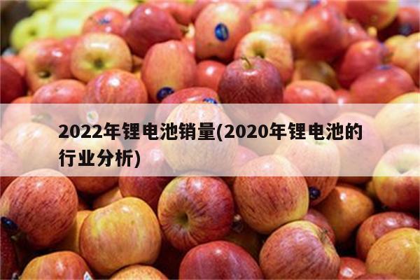 2022年锂电池销量(2020年锂电池的行业分析)