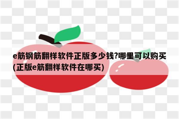 e筋钢筋翻样软件正版多少钱?哪里可以购买(正版e筋翻样软件在哪买)