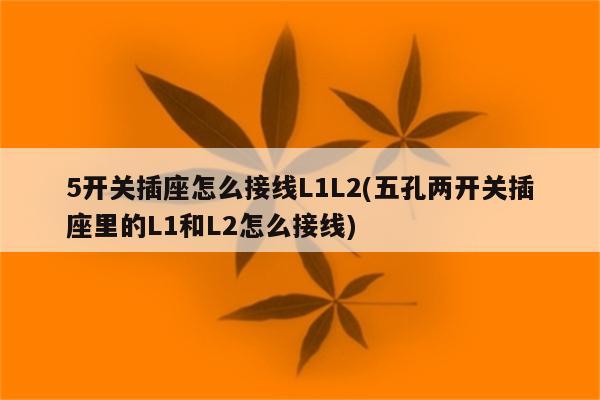 5开关插座怎么接线L1L2(五孔两开关插座里的L1和L2怎么接线)