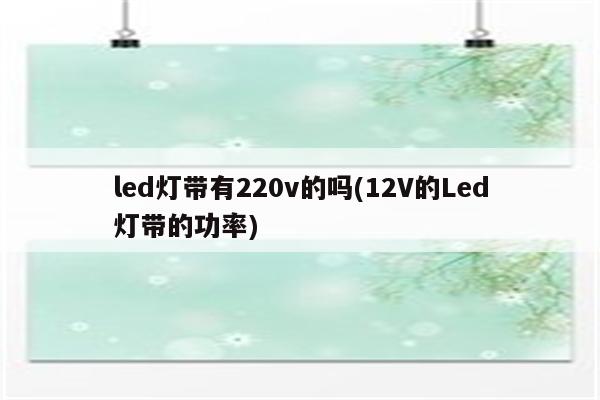 led灯带有220v的吗(12V的Led灯带的功率)