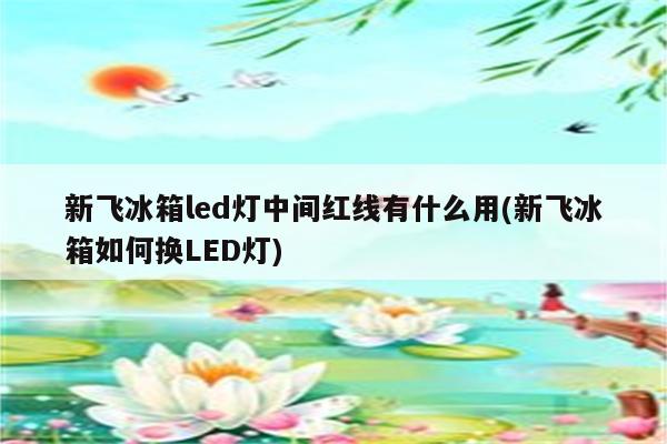 新飞冰箱led灯中间红线有什么用(新飞冰箱如何换LED灯)