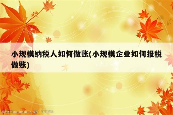 小规模纳税人如何做账(小规模企业如何报税做账)