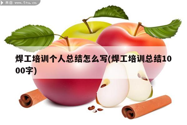 焊工培训个人总结怎么写(焊工培训总结1000字)