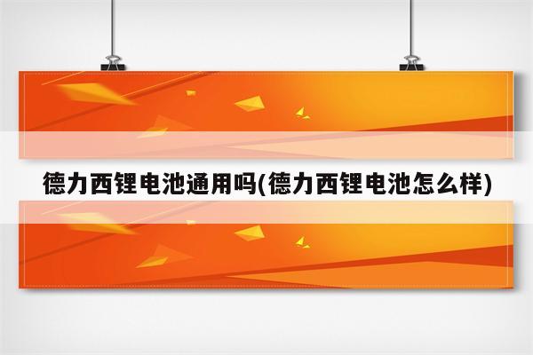 德力西锂电池通用吗(德力西锂电池怎么样)