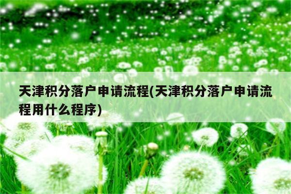 天津积分落户申请流程(天津积分落户申请流程用什么程序)