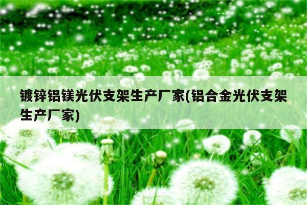 镀锌铝镁光伏支架生产厂家(铝合金光伏支架生产厂家)