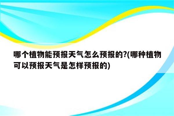 哪个植物能预报天气怎么预报的?(哪种植物可以预报天气是怎样预报的)