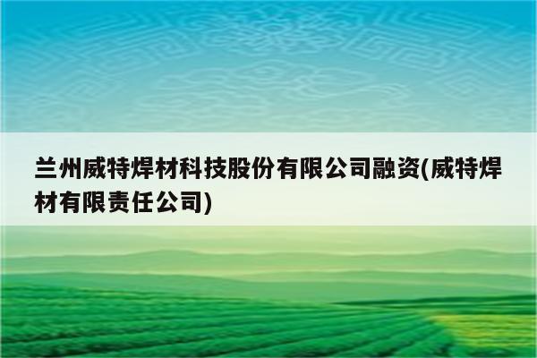 兰州威特焊材科技股份有限公司融资(威特焊材有限责任公司)